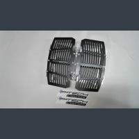 Защита рамки радиатора KTM/Husqvarna 17-23, GasGas EC 250/300 21-23 P-Tech RKK005