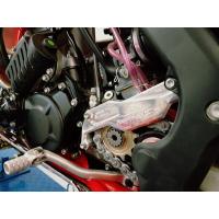 Защита рабочего цилиндра сцепления GasGas EC/XC 250/300 18-20, Rieju MR 300 2021 P-Tech SPK004