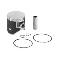 Комплект ЦПГ D73-A Beta Xtrainer 300 22, 24-25 Beta 036.11.046.82.0A