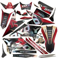 Комплект наклеек ROKO для Arctic Leopard Cheetah EXE